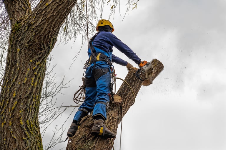 Tree cutting service