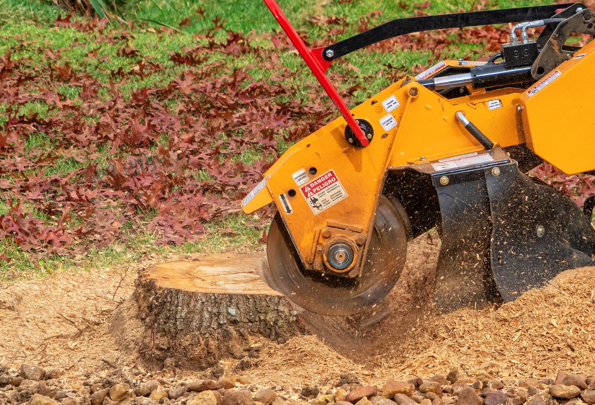 Stump grinding machine removing tree stump