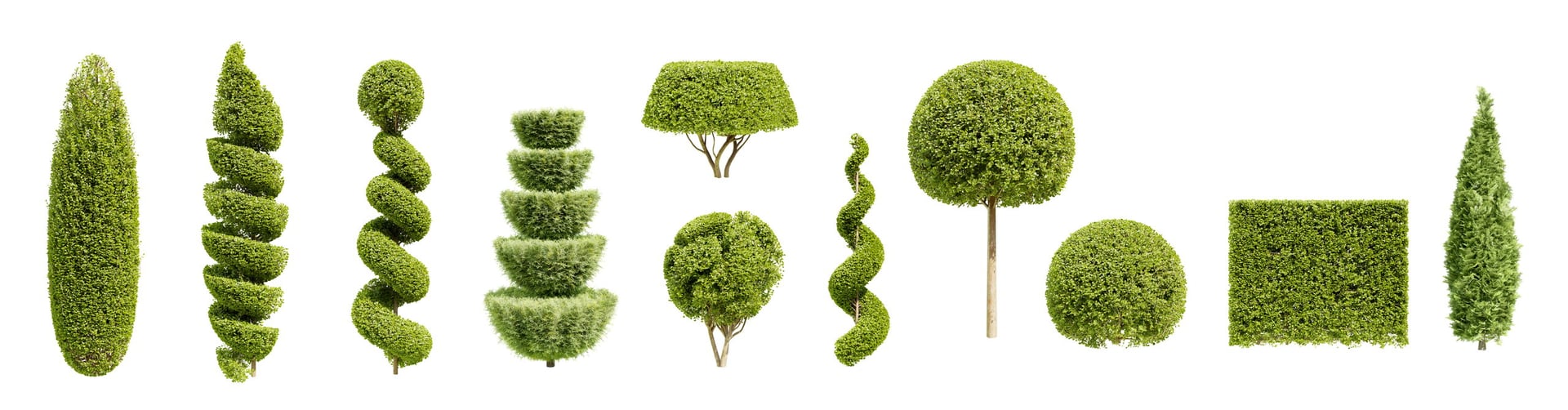 Artistically shaped ornamental trees