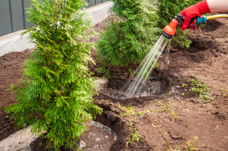 Tree teening service