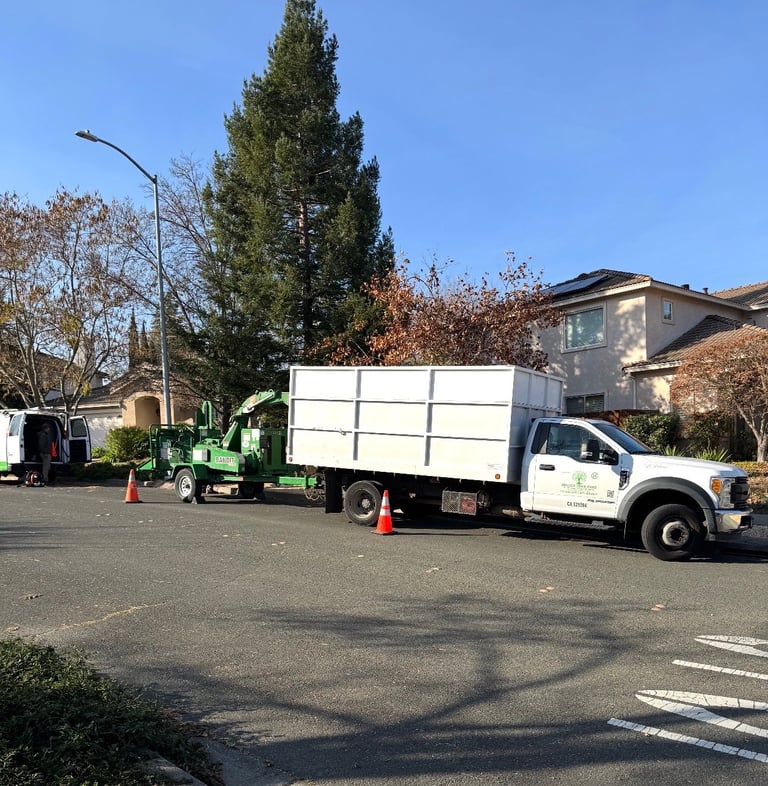 White feed truck parked on residential street with green forage wagon loader and traffic cones nearby