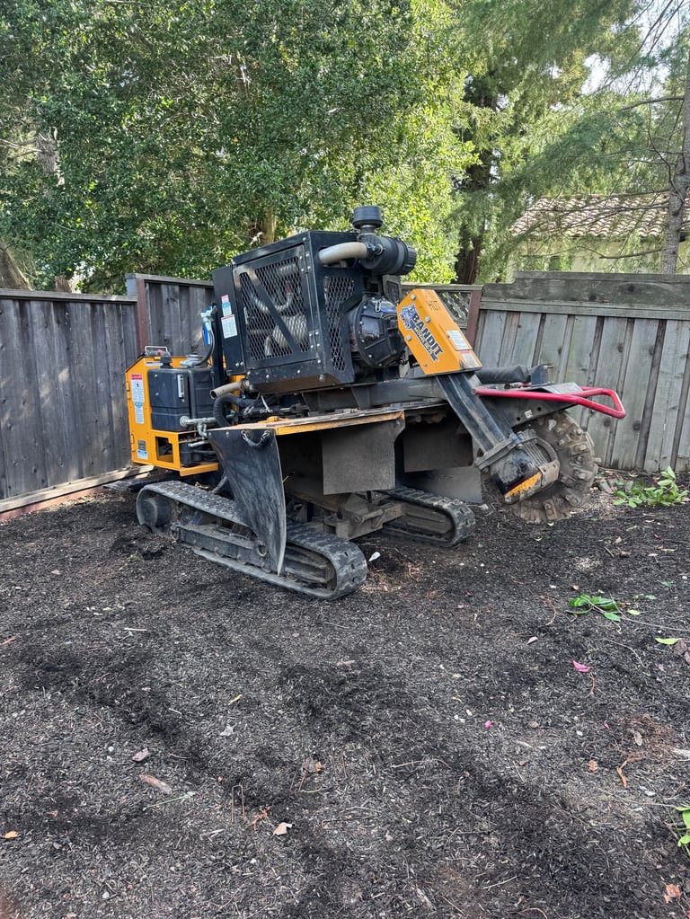 Yellow and black wood chipping machine on tracked base in a residential yard with wooden fence and trees