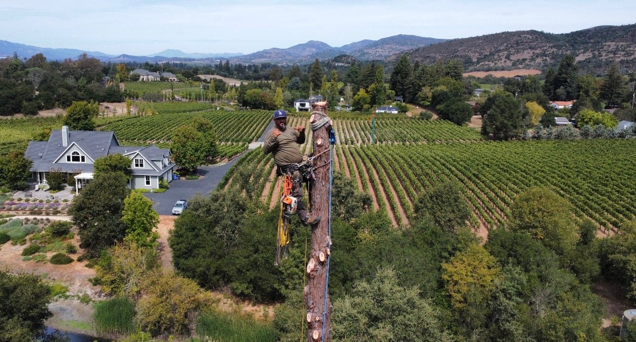Aerial view of a winery estate with vineyards, house, and mountains in the background