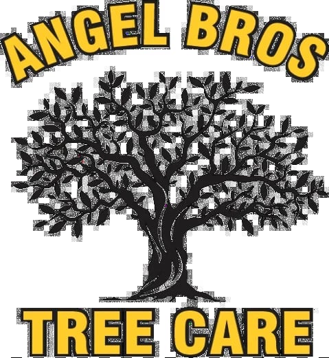 Angel Bros Tree Care logo featuring a large black tree with yellow text above and below