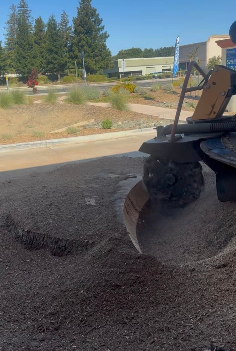 Close-up of a street sweeper machines rotating brush on asphalt with a landscaped parking lot and buildings visible in the background