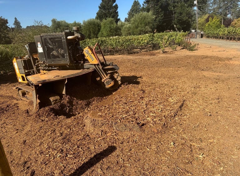 Yellow and black wood chipper machine in a vineyard field with dirt ground and green vines in the background